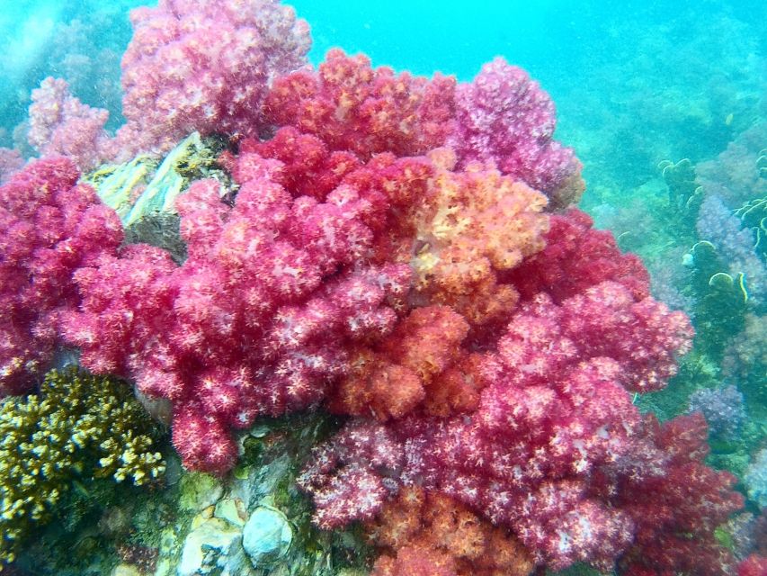 Koh Lipe Snorkeling Trip 6 hours Trip1 - The guide service and group rhythm