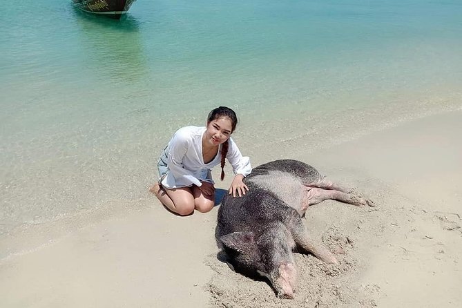 Koh Madsum and Koh Tan Snorkeling Trip By Speedboat From Koh Samui - What the $50.15 price really includes