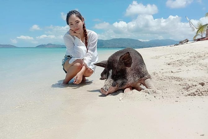 Koh Madsum and Koh Tan Snorkeling Trip By Speedboat From Koh Samui - How the day suits different kinds of visitors