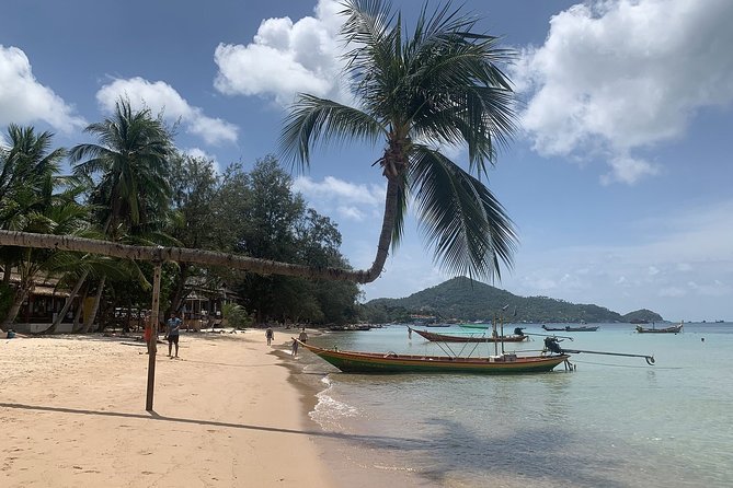 Koh Madsum and Koh Tan Snorkeling Trip By Speedboat From Koh Samui - What to expect from the service