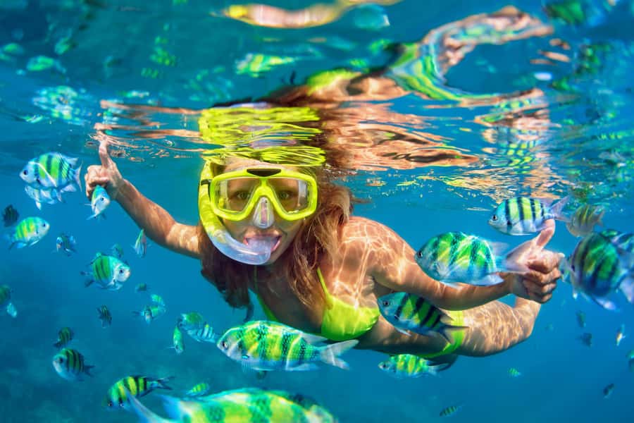 Koh Pha Ngan: Koh Tao & Nang Yuan Tour with Snorkel, Lunch - Key points to know before you book