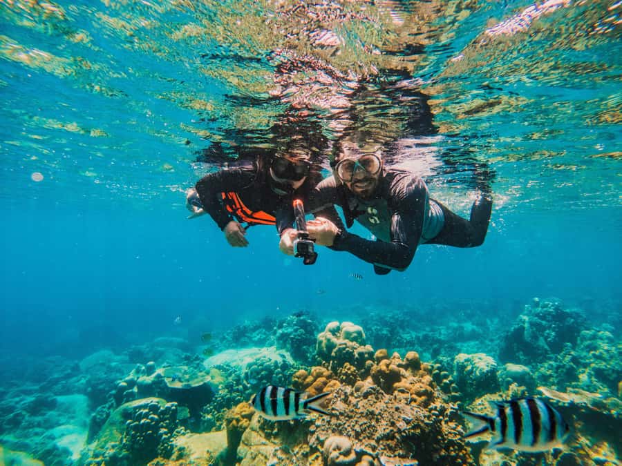 Koh Samui: Koh Tao and Nangyuan Snorkeling Tour with Lunch - Swimming at a quieter Koh Tao beach