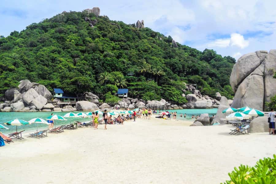 Koh Samui: Koh Tao and Nangyuan Snorkeling Tour with Lunch - Thai buffet lunch beside the sea