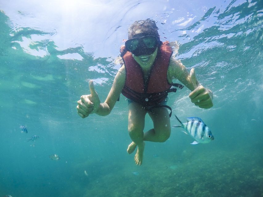 Koh Samui: Pig Island & Koh Tan Snorkeling by Speed boat - Why Pig Island is the reason to go