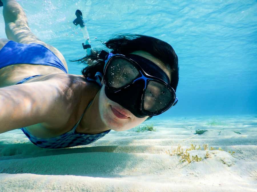 Koh Samui: Pink Dolphin, Pig Island, and Snorkeling Day Trip - Key points to know before booking