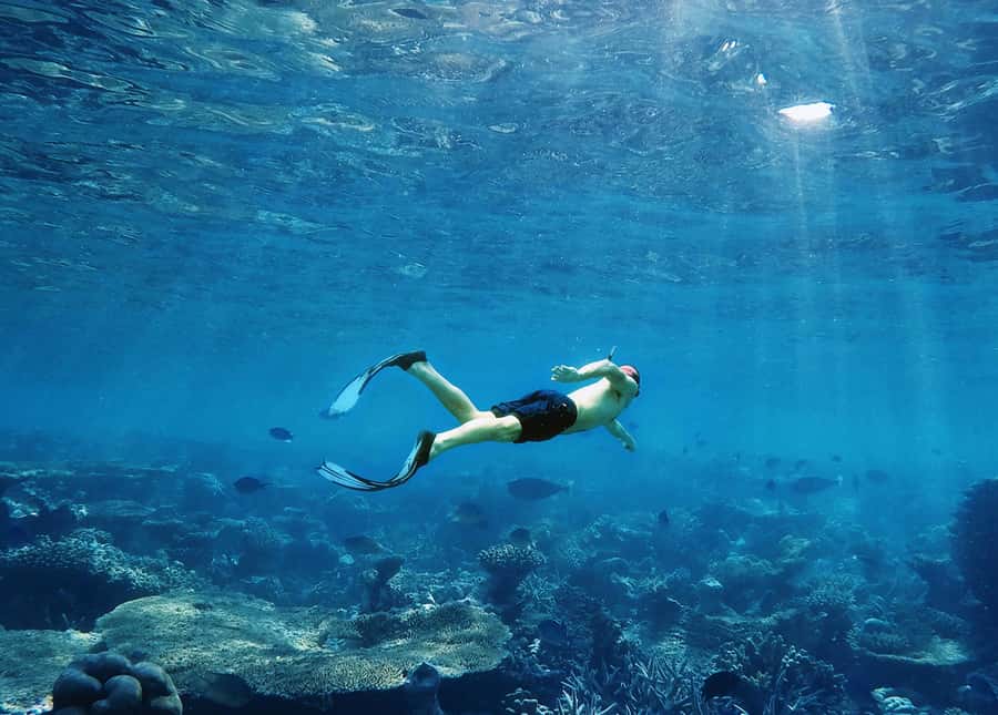 Koh Samui: Pink Dolphin, Pig Island, and Snorkeling Day Trip - What to bring for a more comfortable day
