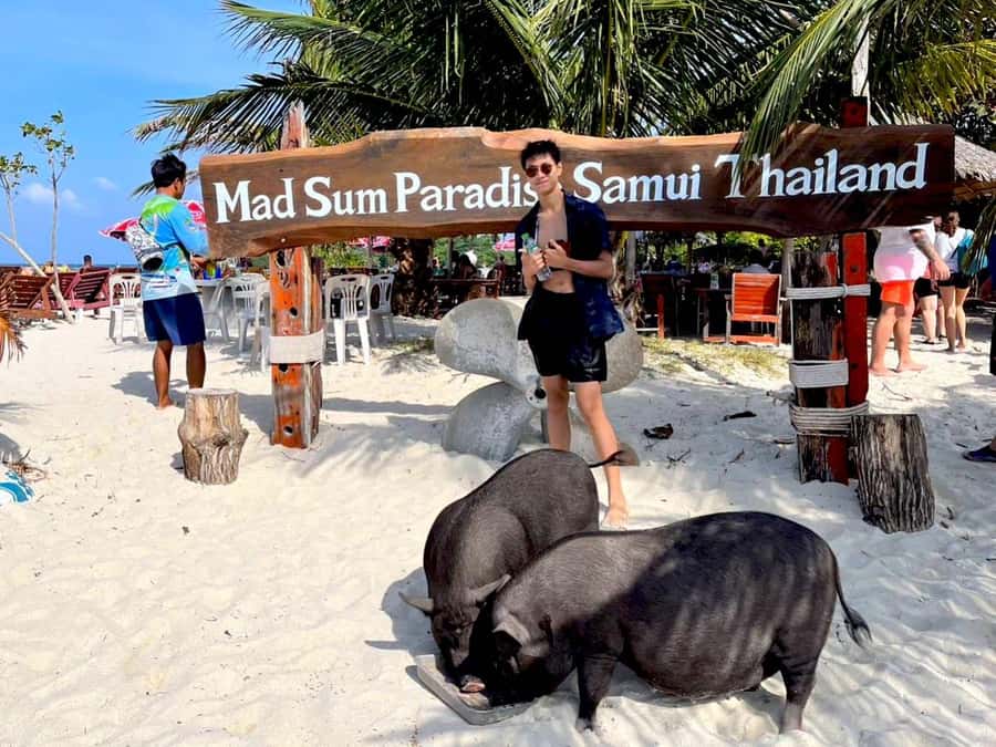 Koh Samui: Private Longtail Boat to Pig Island with Snorkel - Should you book the Koh Samui Pig Island trip?