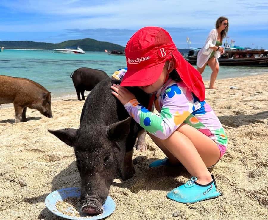 Koh Samui: Private Longtail Boat to Pig Island with Snorkel - Two and a half hours on Koh Madsum