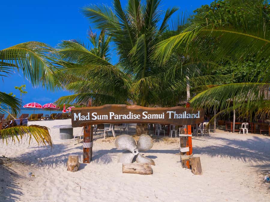 Koh Samui: Private Longtail Boat to Pig Island with Snorkel - Practical details that can make the day better