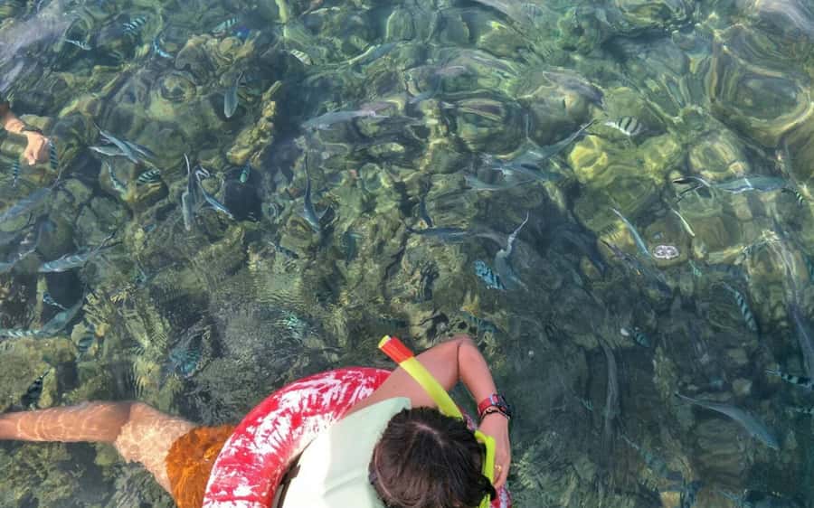 Koh Samui: Snorkeling and Kayaking by Speedboat - What the $59 price really covers