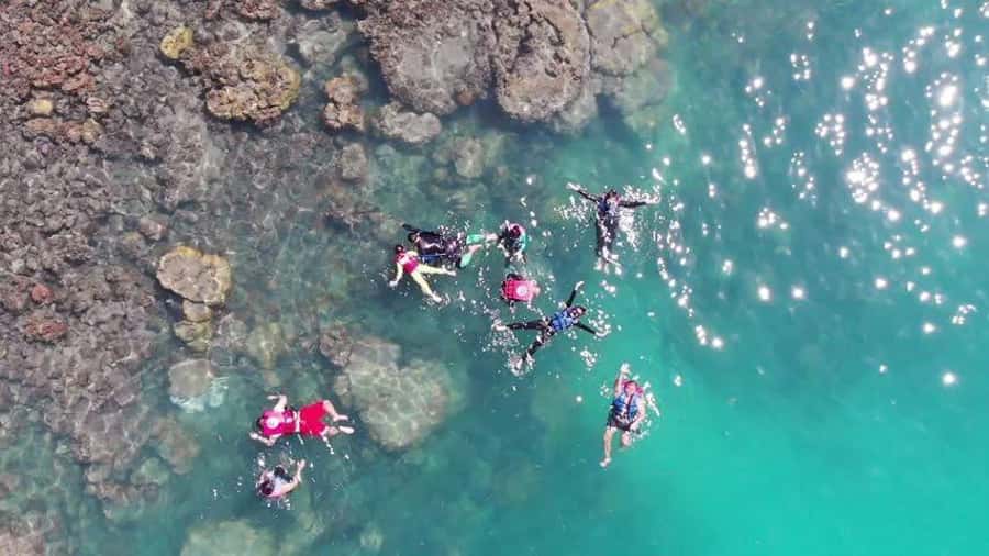 Koh Samui: Sunset Pig Island and Snorkeling Koh Tan w/Dinner - Pickup from Koh Samui and the ride to Thong Krut