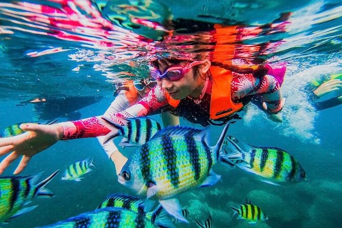 Koh Tao and Koh Nang Yuan Snorkel Tour (Speedboat from Koh Samui) - What this Koh Samui boat trip is really like
