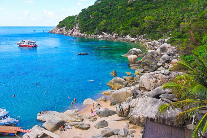 Koh Tao and Koh Nang Yuan Snorkel Tour (Speedboat from Koh Samui) - Koh Tao snorkeling: fish, coral, and changing conditions