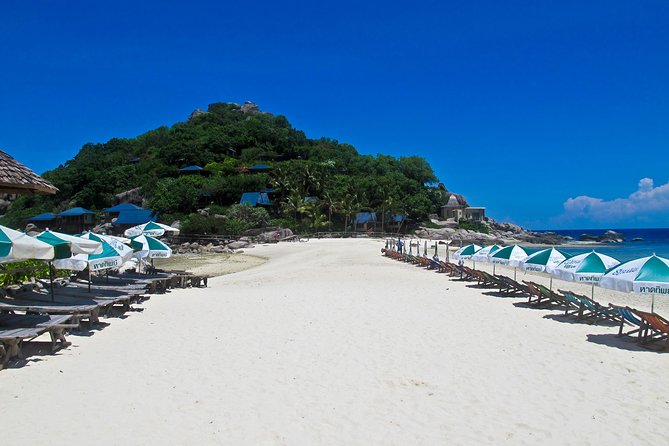 Koh Tao and Koh Nang Yuan Snorkel Tour (Speedboat from Koh Samui) - Guides, safety, and the pace of the day