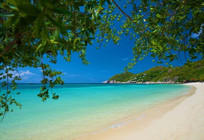 Koh Tao: First Light Snorkel Adventure with Oxygen Tours - Why this morning trip works well on Koh Tao