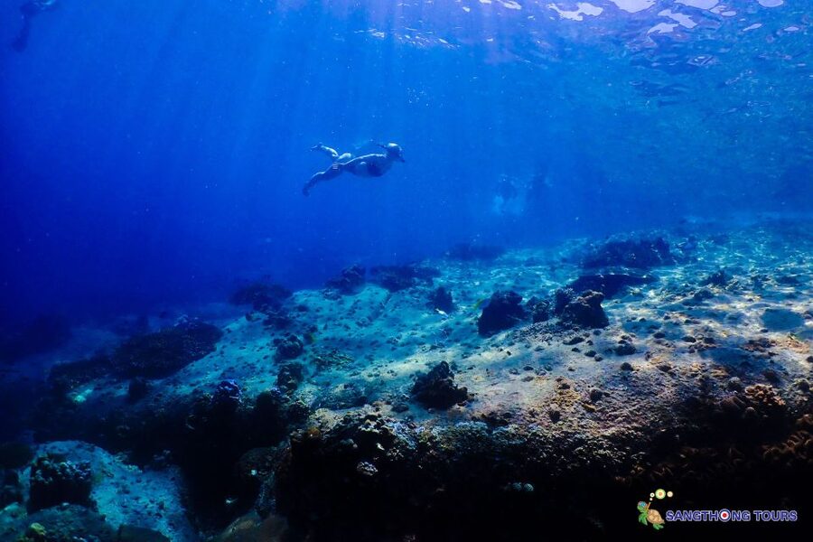 Koh Tao: Islands Snorkeling Highlights Day Tour & Lunch - Why this Koh Tao boat trip offers good value