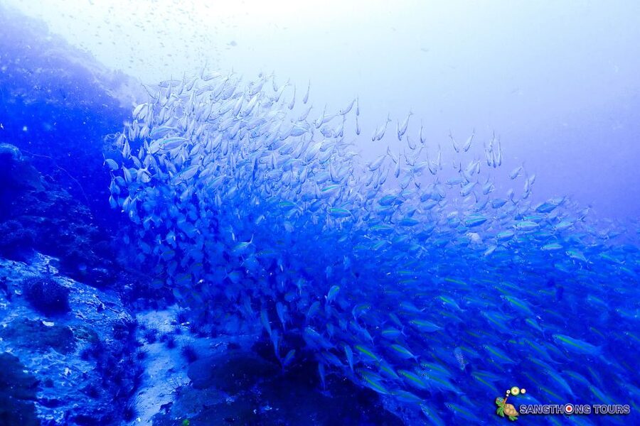 Koh Tao: Islands Snorkeling Highlights Day Tour & Lunch - Ao Hin Wong and the reef-covered pinnacles