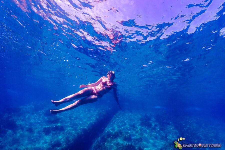 Koh Tao: Islands Snorkeling Highlights Day Tour & Lunch - Shark Bay and the chance to see turtles
