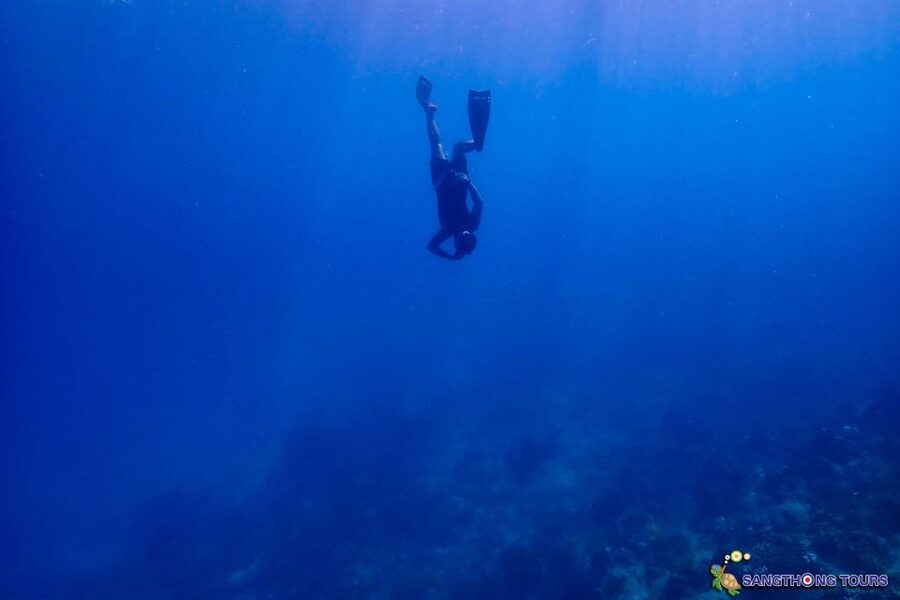 Koh Tao: Islands Snorkeling Highlights Day Tour & Lunch - Koh Nangyuan: viewpoint, beach, and Japanese Garden
