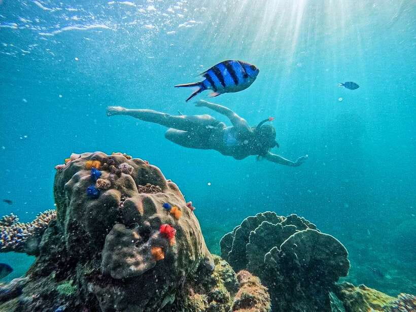 Koh Tao: Koh Nangyuan & Hidden Bays Snorkeling Tour w/ Lunch - Key points to know before you book