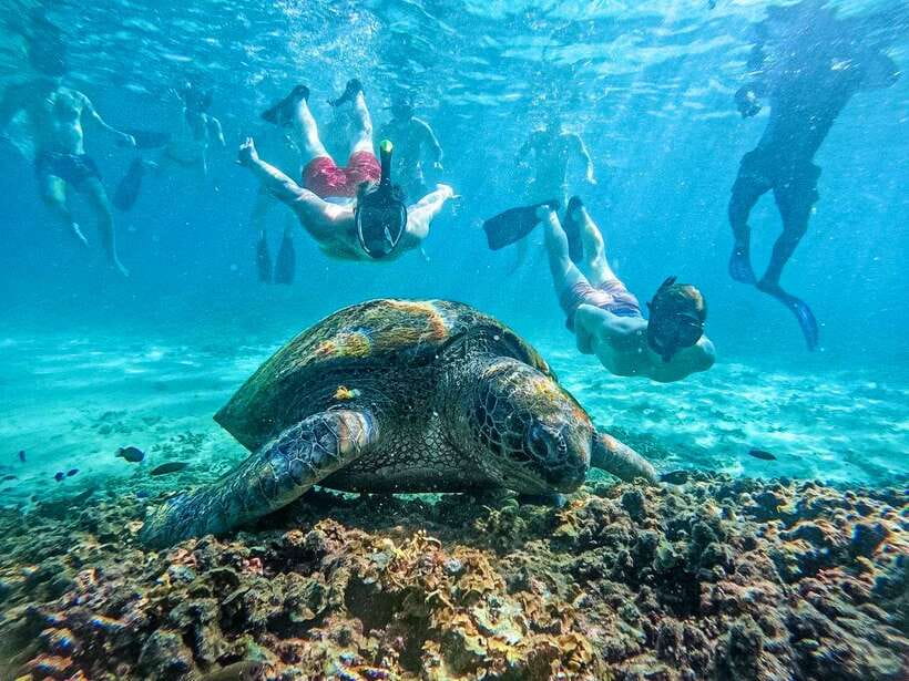 Koh Tao: Koh Nangyuan & Hidden Bays Snorkeling Tour w/ Lunch - Seven hours around Koh Tao for $27