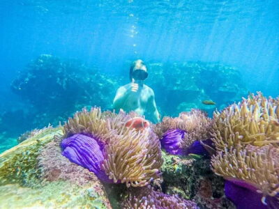 Koh Tao: Koh Nangyuan & Hidden Bays Snorkeling Tour w/ Lunch