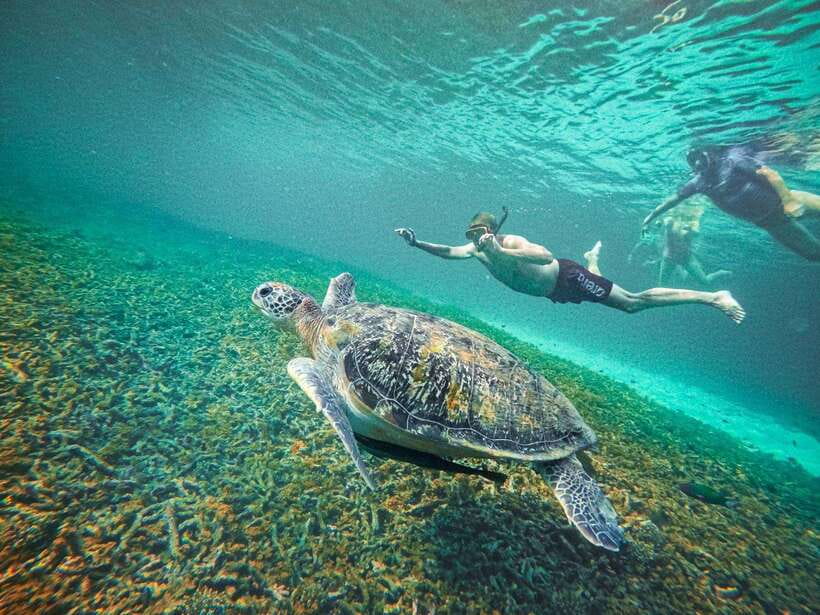 Koh Tao: Koh Nangyuan & Hidden Bays Snorkeling Tour w/ Lunch - What the crew adds to the day