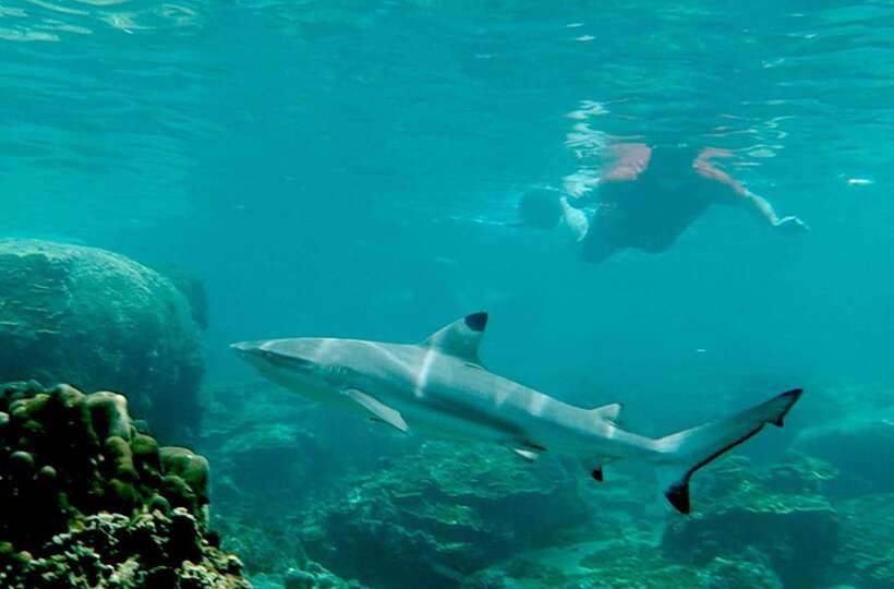 Koh Tao: Premium Snorkel Tour to Koh Nangyuan Bays by Oxygen - Weather decides more than the brochure does