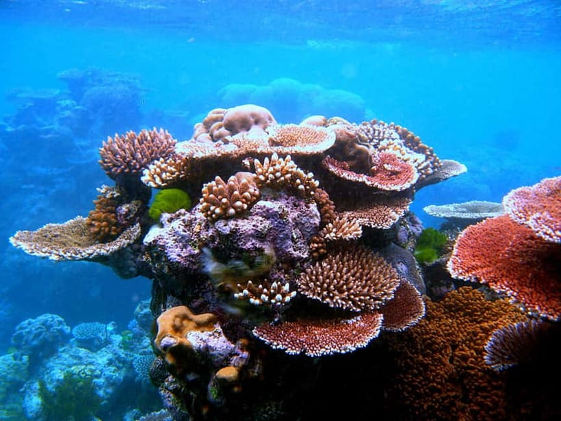 Koh Tao: Snorkeling and Sunset Tour - The sunset return is part of the value