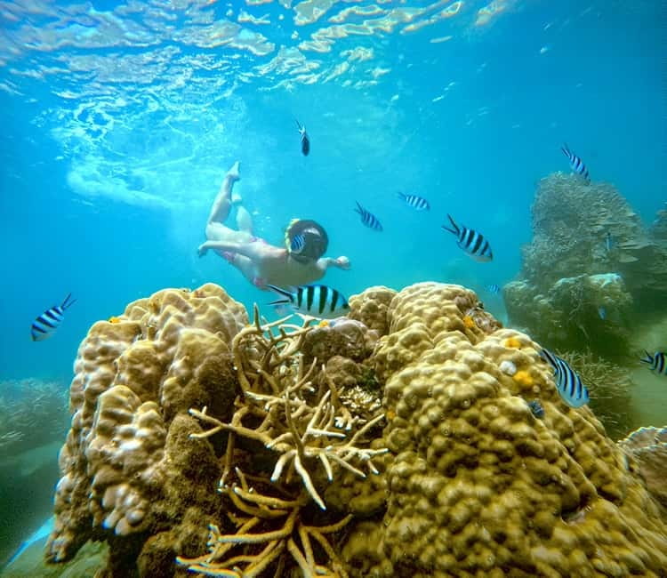 Koh Tao: Snorkeling Trip to Nang Yuan Island & Hidden Bays - Starting at Mae Haad Pier