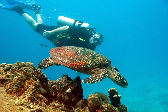 Koh Tao VIP Snorkelling Tour - What Is Included in the Day