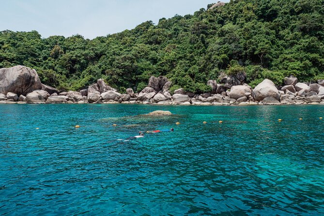 Koh Tao VIP Snorkelling Tour - Three Koh Tao Sites Chosen for the Conditions