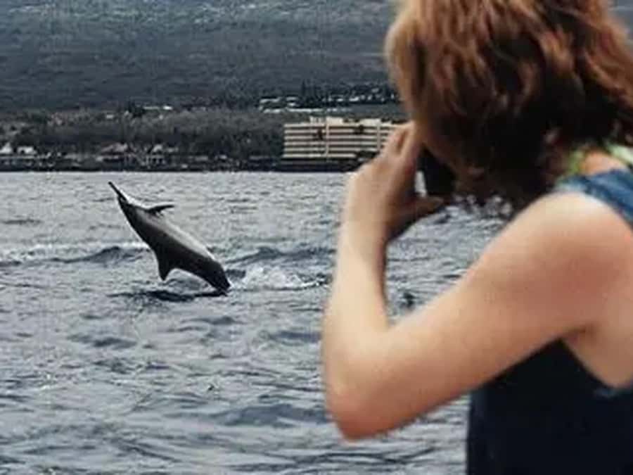 Kona: Captain Cook Snorkel Tour - Practical ways to make the morning easier