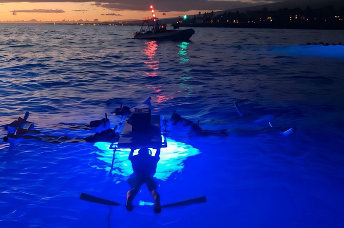 Kona Manta Night Snorkel: Swim with Mantas, Small Group (6 max) - Why the six-person limit matters