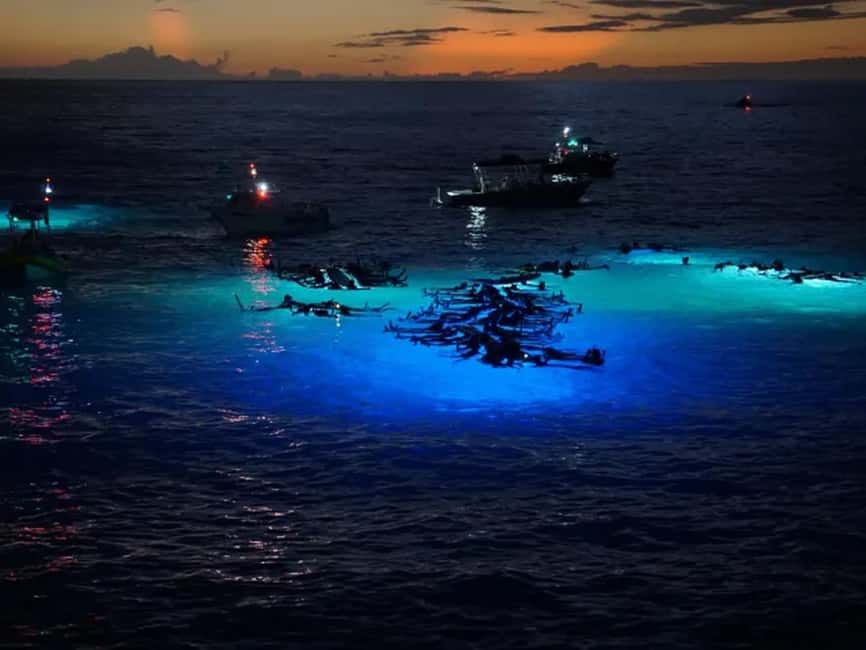 Kona: Manta Ray Night Snorkel Adventure - Key points to know before you book