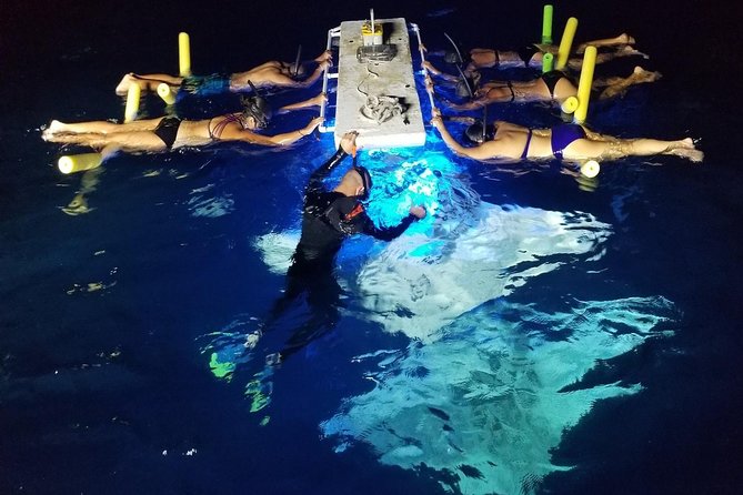 KONA Manta Ray Night Snorkel - FREE re-ride if no Sightings - Key points at a glance