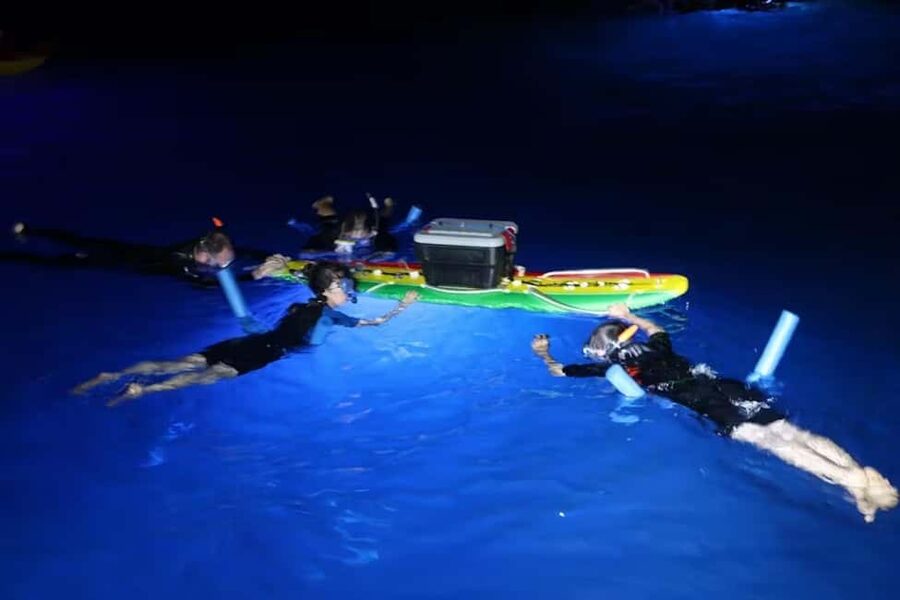 Kona: Manta Ray Snorkel Tour, Guaranteed or Come Again Free - Why Kona’s short ride matters