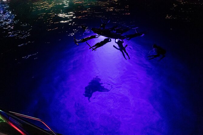 Kona Night Manta Snorkel Tour - Why Kona’s night manta snorkel is so special