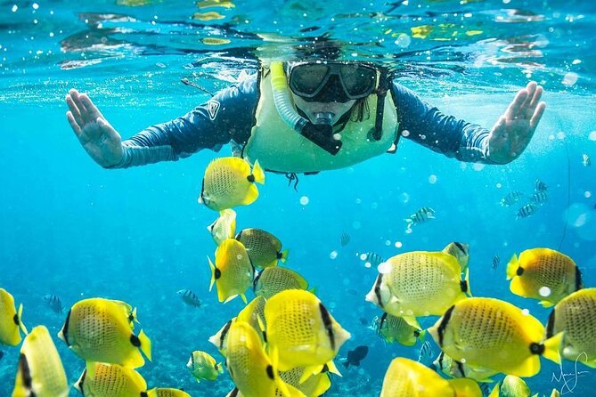 Kona Shore Excursion: Wild Dolphin Reefs Snorkel and Sea Caves - Leaving Kailua Pier on a Zodiac