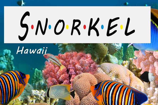 Kona Shore Excursion: Wild Dolphin Reefs Snorkel and Sea Caves - The southern coast, lava cliffs, and sea caves