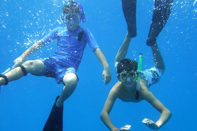 Kona Shore Excursion: Wild Dolphin Reefs Snorkel and Sea Caves - Who will enjoy this Kona excursion
