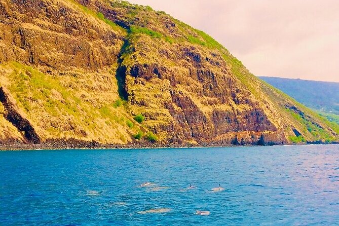 Kona Snorkel Tour: Captain Cook Reef Snorkel, Dolphin & Sea Caves - Sea caves, lava tubes, and the return along the coast