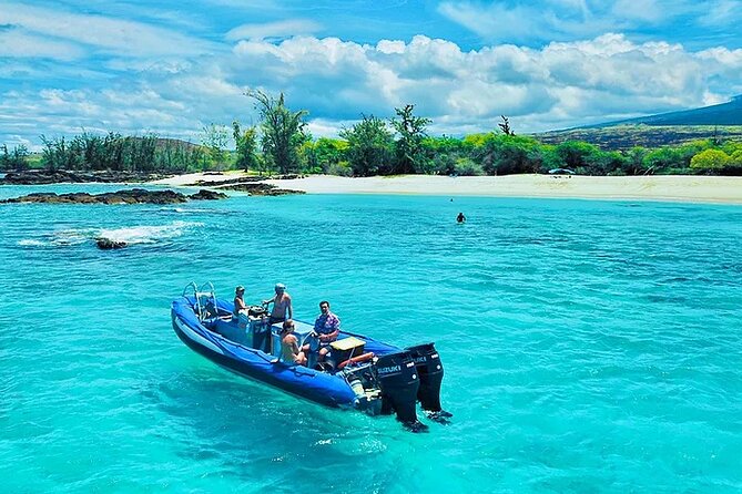 Kona Snorkel Tour: Captain Cook Reef Snorkel, Dolphin & Sea Caves - Guides who add more than directions