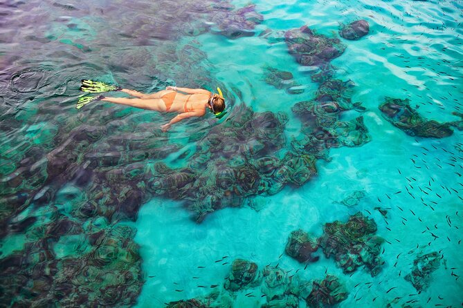 Kona Snorkel Tour: Captain Cook Reef Snorkel, Dolphin & Sea Caves - Meeting point and timing details that matter