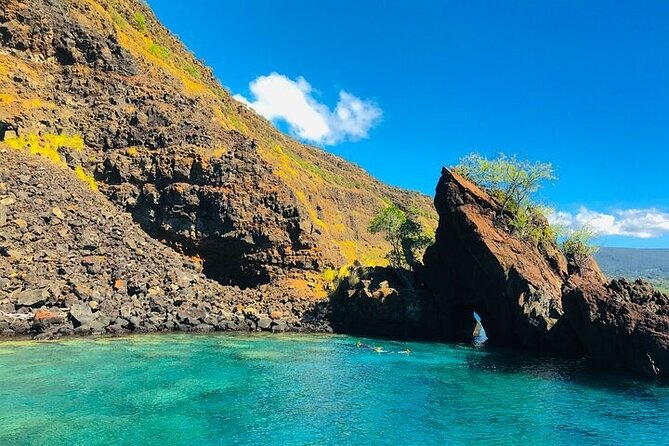 Kona Snorkel Tour: Captain Cook Reef Snorkel, Dolphin & Sea Caves - Who should book this Kona excursion?