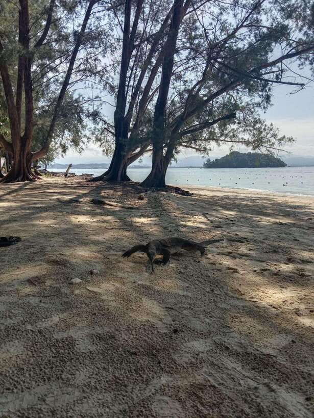 Kota Kinabalu: Manukan & Sapi Islands Snorkeling with Lunch - Three hours on Manukan Island