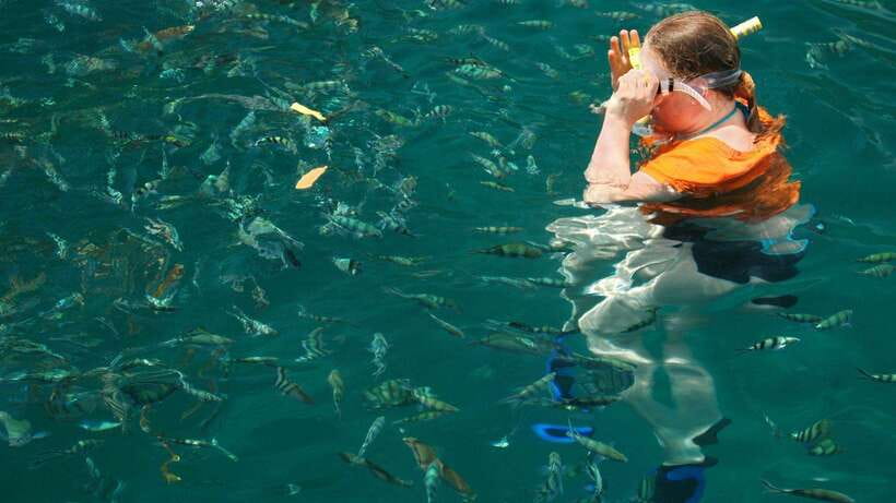 Kota Kinabalu: Snorkeling & Island Hopping Sapi & Manukan - Who will enjoy this day most?
