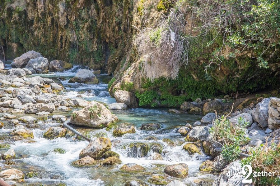 Kourtaliotiko Gorge: Snorkel Trip to the Waterfalls - Is $106 a fair price?