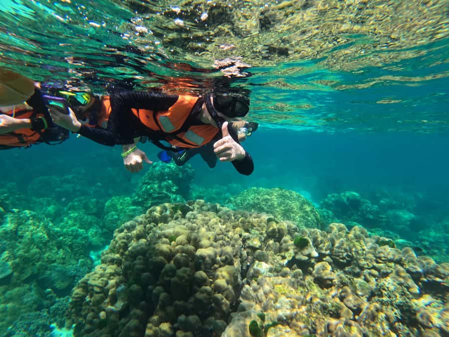Krabi Aonang: Koh Rok & Koh Haa Snorkelling Day Trip + Lunch - The 6:30 a.m. pickup from Ao Nang