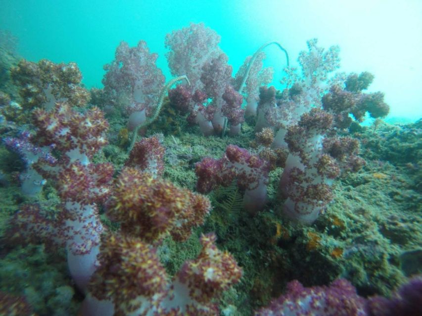 Krabi: Freediving and Snorkeling at Yawasam and Talu Island - Yawasam Island and the first long water stop